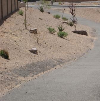 Sierra Norte Path web size.jpg