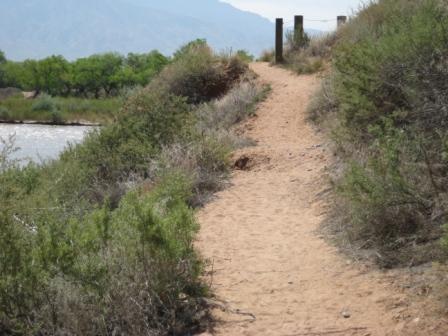 Trailhead Trail web size.jpg