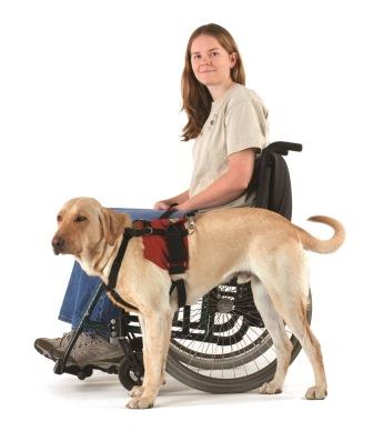 Girl in wheelchair with service dog.jpg